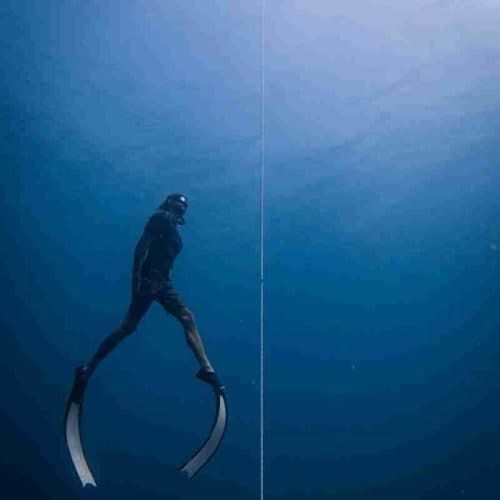 Freediving: Be one with the underwater world without a scuba tank