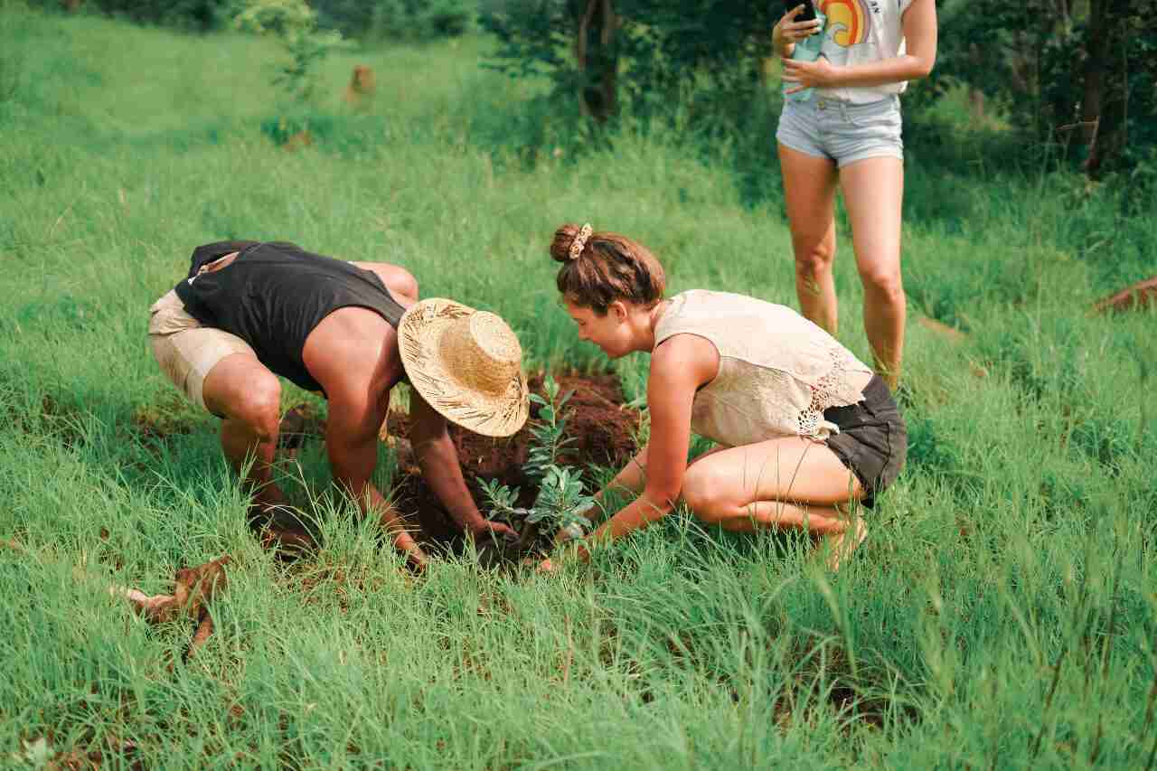 Bomen planten rond Sumberkima