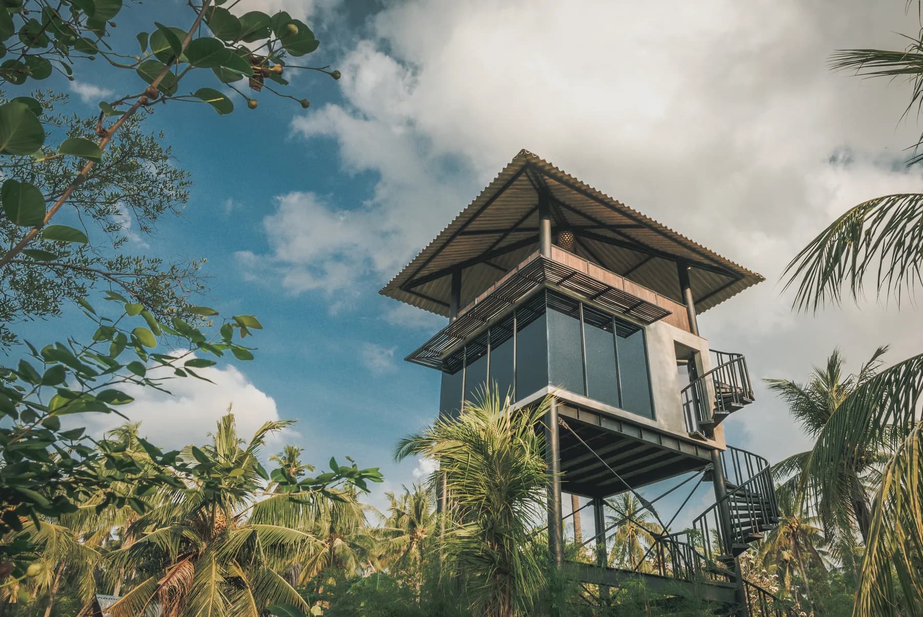 Lookout Loft elevated above the palm trees